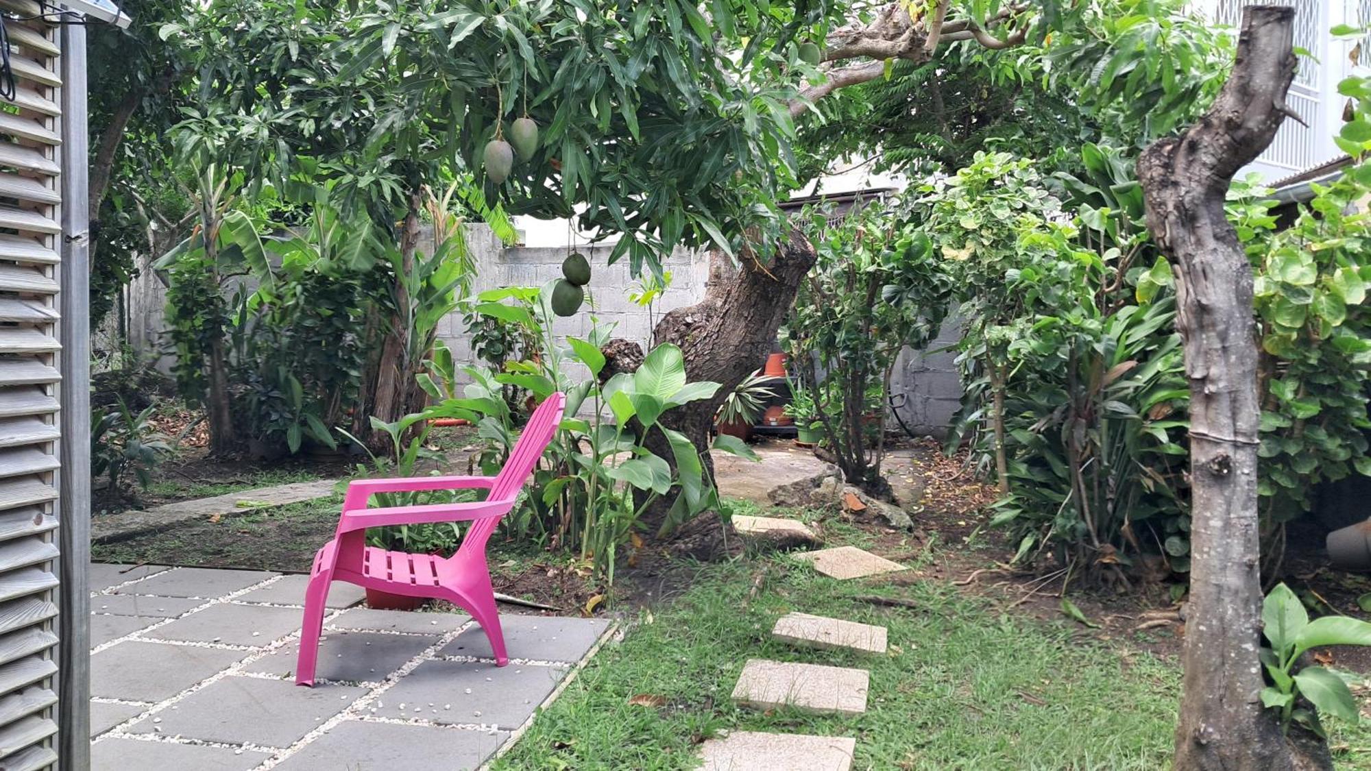 דירות פור-דה-פראנס Agreable F2, Jardin, Garage, Fibre, Clim Ch מראה חיצוני תמונה